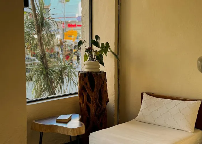 Casa Delfin Hotel 3*