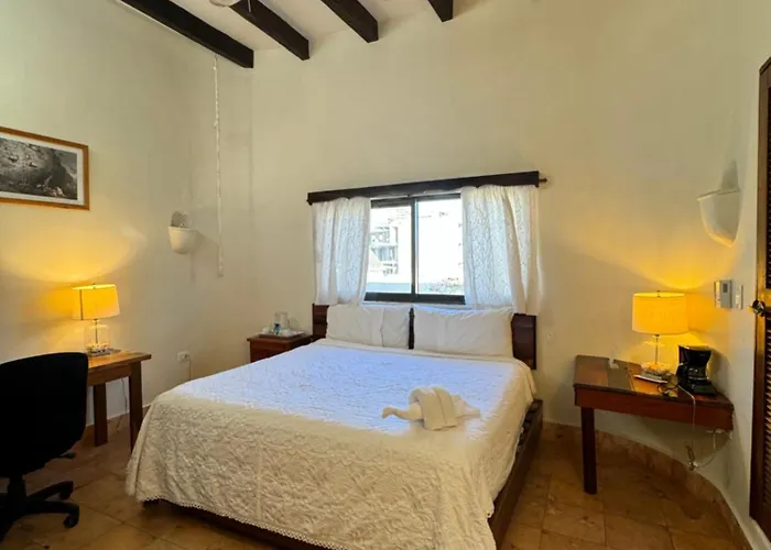 Casa Delfin